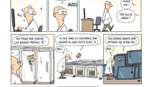 SIDONIE et la Fête de la Transition, juin 2025