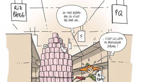 SIDONIE et le Coronavirus 2, avril 2020