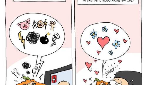 SIDONIE et les prix de l'électricité en 2021, octobre 2020